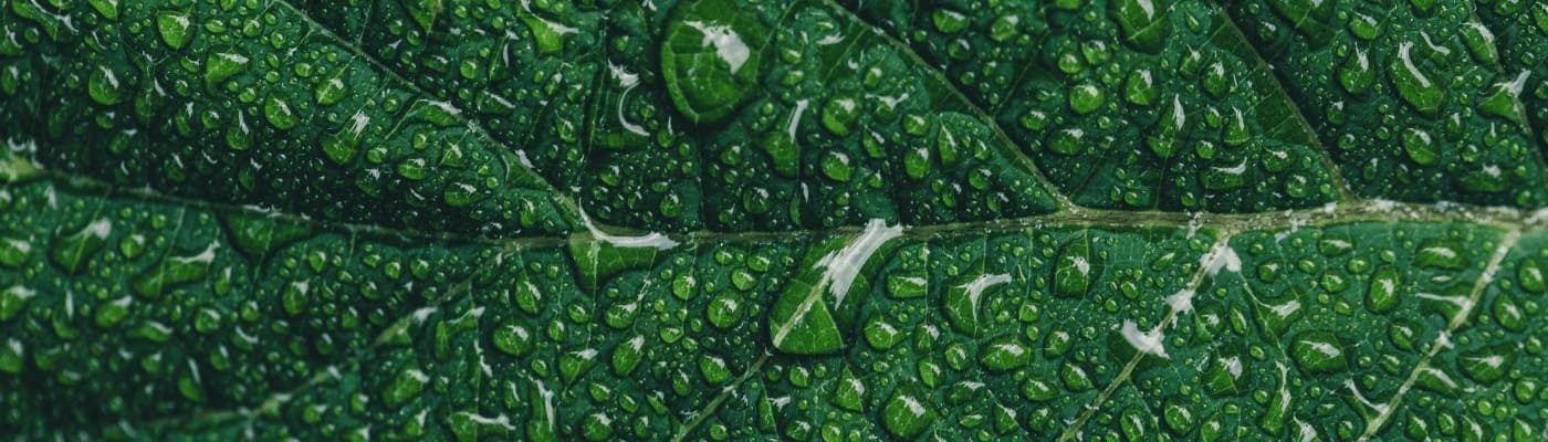 oduduwa-nigeria.com_44